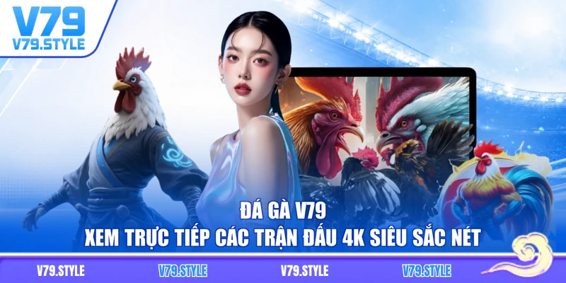 Đá Gà V79 - Xem Trực Tiếp Các Trận Đấu 4K Siêu Sắc Nét