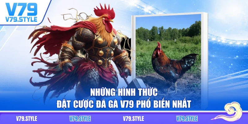Những hình thức đặt cược đá gà V79 phổ biến nhất
